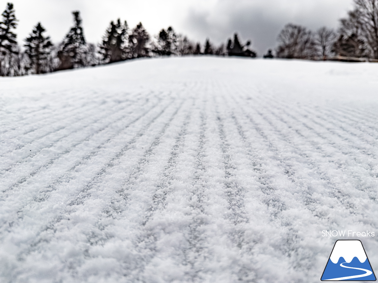 桂沢国設スキー場｜非情なほどに待ってくれない今冬の雪解け...。まだ少しだけ冬の気配が残る
